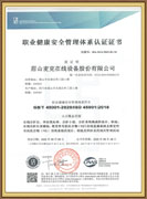 職業健康安全管理體系認證證書